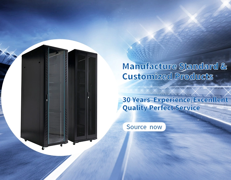 42u Floor Standing Server Cabinet/ Data Cabinet 600mm Wide X 600mm Deep Network Rack Professional Production Network Cabinet Manufacturer